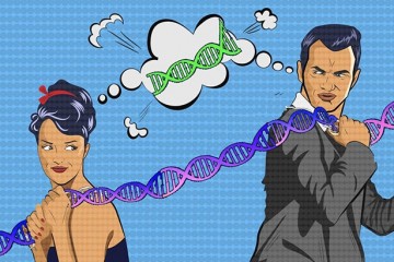Ученые обнаружили, чем отличаются гены мужчин и женщин