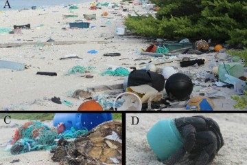 Пластиковый мусор добрался до самых девственных уголков Земли