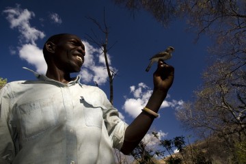 Африканцы стали говорить с птицами на их языке