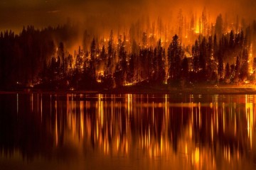 В Сибири – самые страшные пожары за 10 тысяч лет