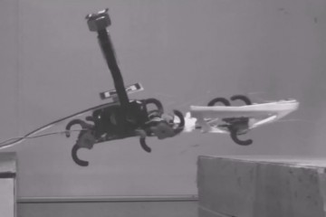 Роботы учатся у тараканов