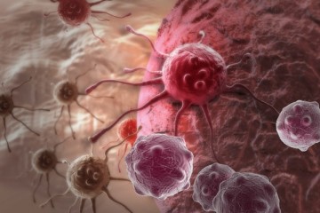 Почему крупные люди более склонны к раку?