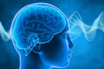 Тренировка альфа-волн мозга увеличивает способность к обучению