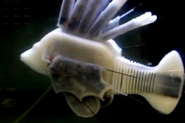 В США создана мягкая рыба-робот с электрической кровью