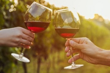 Употребление красного вина улучшает работу кишечника