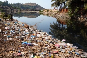 Одноразовый пластик составил почти 100% прибрежного мусора в РФ