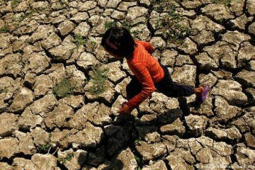 11 тысяч учёных предрекли всем ужасные страдания из-за глобального потепления
