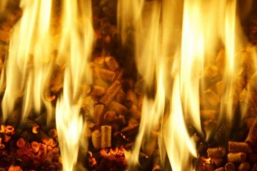 В Германии самым выгодным и экологичным стало древесное отопление