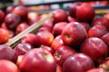 К Яблочному Спасу диетологи рассказали о пользе и вреде яблок