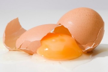 Яйца могут имитировать повреждения мозга от удара