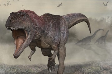 Разгадка крошечных «ручек» динозавров оказалась пикантной