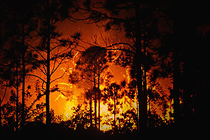 Башкирия отчиталась о пожарах в 2011 году