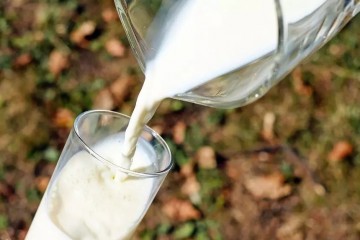 Антиоксиданты в молоке замедляют старение мозга и защищают от болезни Альцгеймера