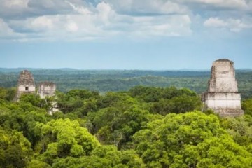 Ученые определили, что что многие города майя были и до сих пор сильно заражены ртутью