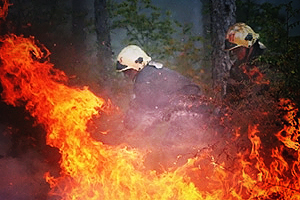 Массовые поджоги в Братске: задержаны четверо поджигателей