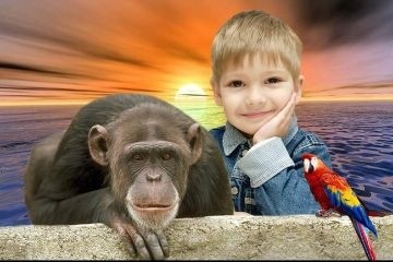 Кто любопытнее: мы или человекообразные обезьяны?