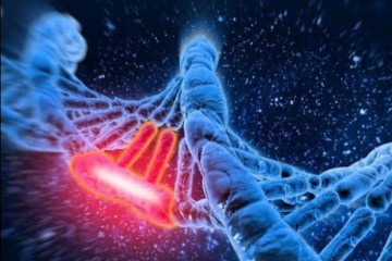 Мужские половые клетки - виновники генных мутаций
