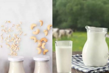 Коровье молоко полезнее растительных заменителей