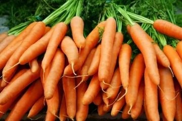 Почему оранжевая морковь так полезна для здоровья