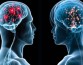 Чем умнее человек, тем меньше в его мозге сетевых связей нервных клеток