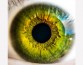 Революция в борьбе за зрение: ученые создали искусственную графеновую сетчатку