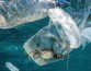 Ежегодно в мировом океане оказывается 12 млн тонн пластика