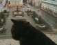 Упитанный кот Виктор посетил президента Татарстана