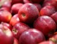К Яблочному Спасу диетологи рассказали о пользе и вреде яблок