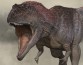 Разгадка крошечных «ручек» динозавров оказалась пикантной