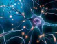 Ученые определили, почему наш мозг связывает и различает реальность и воспоминания
