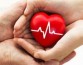 Исследователи выяснили, что окситоцин способен восстанавливать поврежденные ткани сердца