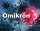 Вирусологи раскрыли тайну происхождения штамма Omikron коронавируса SARS-CoV-2 