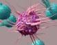 Ученые выяснили, что время суток влияет на рост опухоли и эффект иммунотерапии против рака