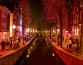 Амстердам просит британских туристов держаться от него подальше