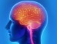 Ученые обнаружили у одиноких пожилых людей снижение серого вещества мозга и ухудшение памяти