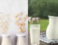 Исследователи выяснили, какое молоко полезнее: коровье или его растительные заменители