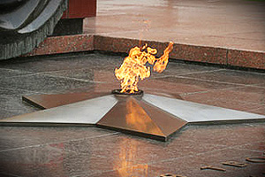 Жириновский предлагает убрать Вечной огонь из городов страны
