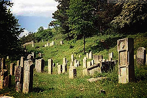 На столичных кладбищах катастрофически не хватает свободных мест