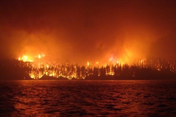 Дым от канадских лесных пожаров доходит до европейских стран