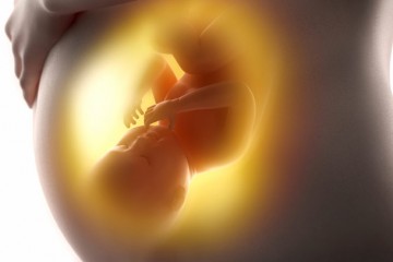 Впервые в мире родился ребенок после посмертной трансплантации матки