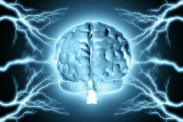 Ученые научились омолаживать мозг