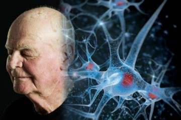 Ученые выявили способствующие старению процессы в иммунной системе