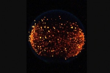 Ученые НАСА показали, что в условиях микрогравитации огонь принимает другую форму