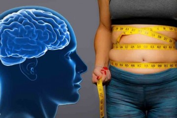 Ученые выяснили, что семейные факторы риска ожирения проявляются в мозге на ранней стадии