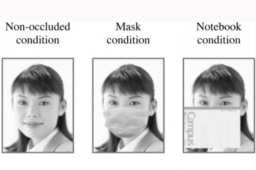 Защитные маски стали увеличивать нашу привлекательность в глазах окружающих