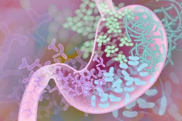 Ученые выяснили: кишечные бактерии занимаются сексом, чтобы поделиться витамином B12