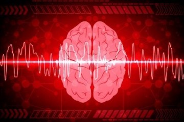 Ученым впервые удалось детально отследить мозговую активность умирающего человека 