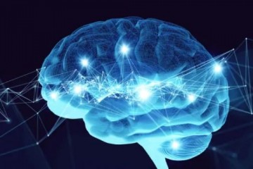 Ученые выяснили, как при общении в мозге собеседников происходит обработка речи