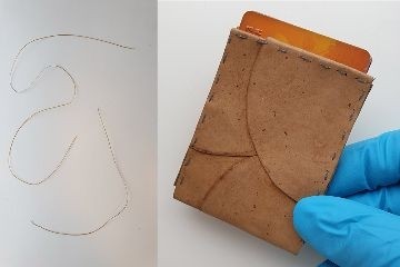 Ученые превратили плесень в сырье для искусственной кожи, бумаги или заменителей хлопка