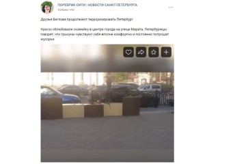 «Постоянно потрошат мусорки: горожане оценили видео с гуляющей по центру Петербурга крысой